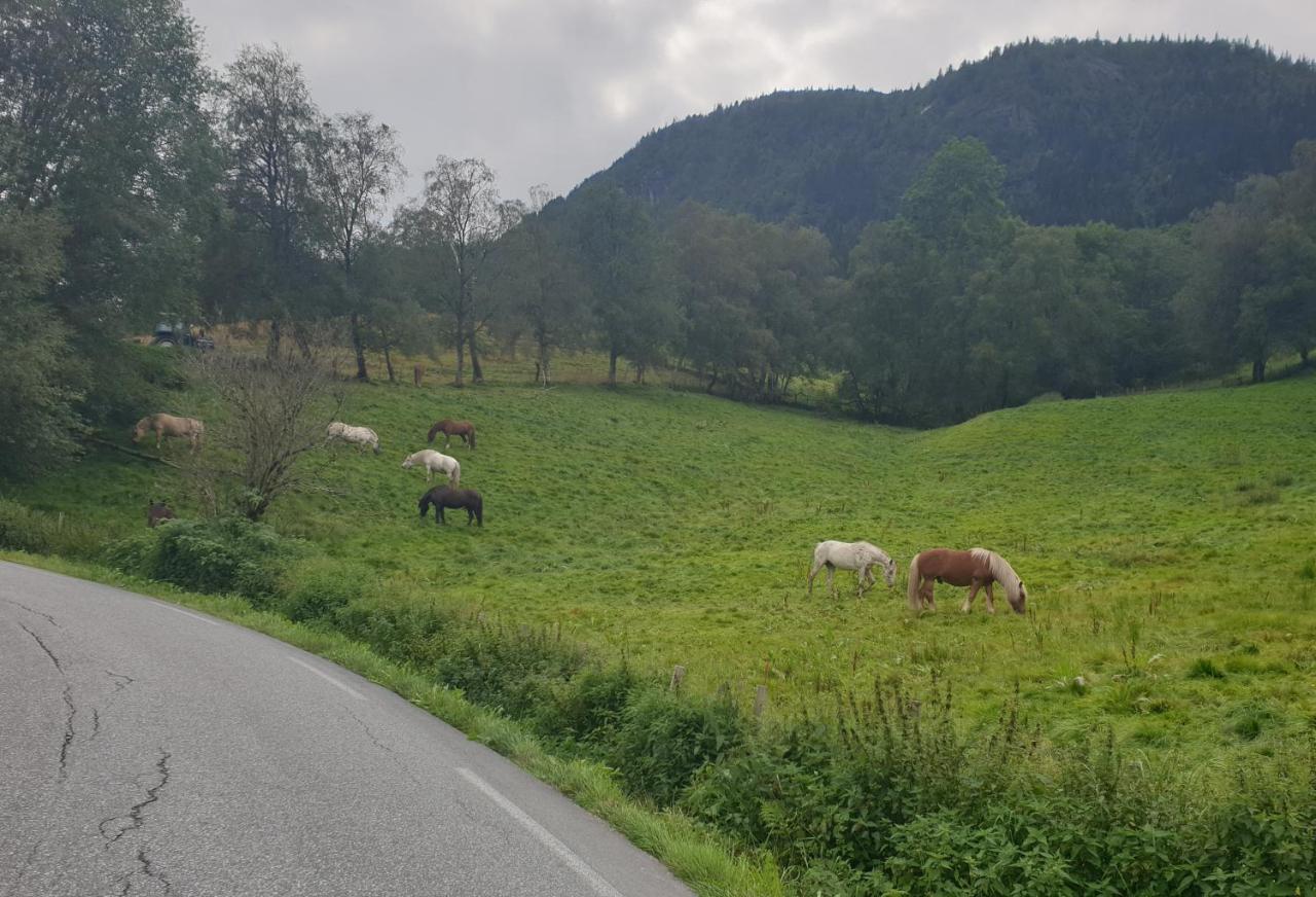 New And Exclusive Cottage In Voss With A Great View Skulestadmo Exteriör bild